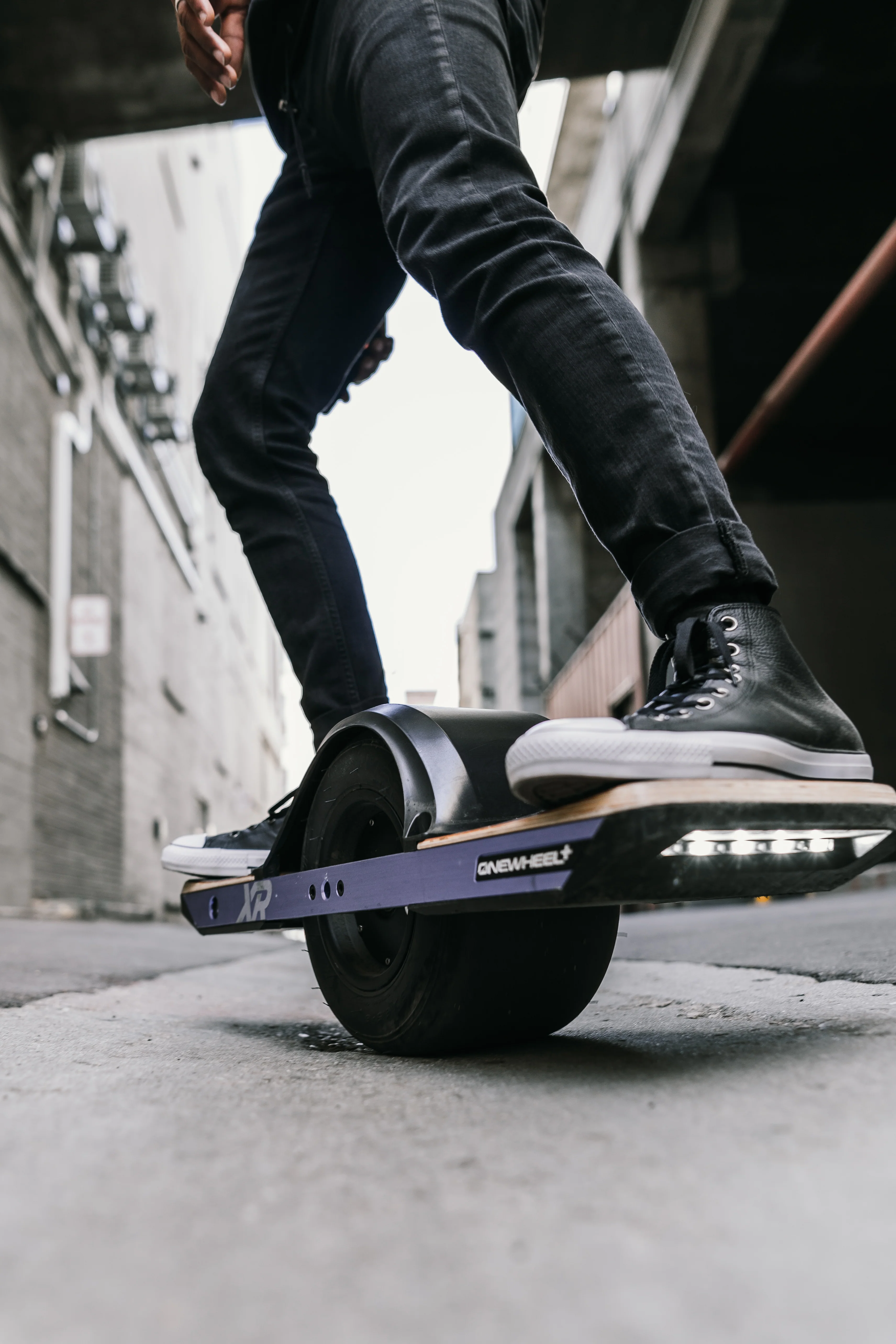 Fender - Image 17