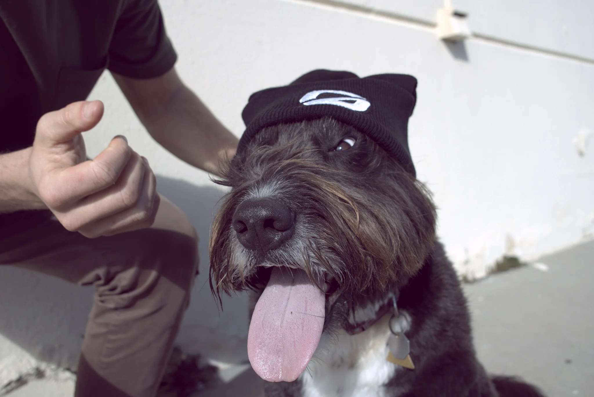 "O" Beanie - Image 3